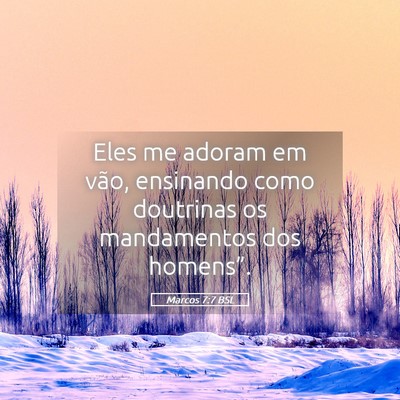 Picture 05 - Marcos 7:7 BSL - Eles me adoram em vão, ensinando como doutrinas - Bible Verse Picture