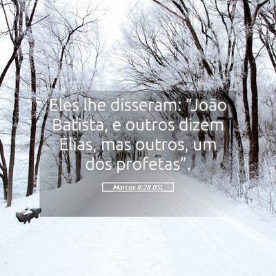 Picture 05 - Marcos 8:28 BSL - Eles lhe disseram: “João Batista, e outros - Bible Verse Picture