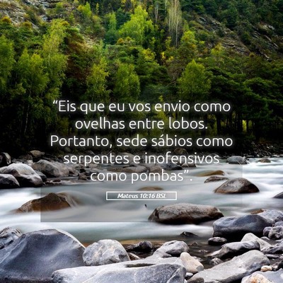 Picture 05 - Mateus 10:16 BSL - “Eis que eu vos envio como ovelhas entre lobos. - Bible Verse Picture
