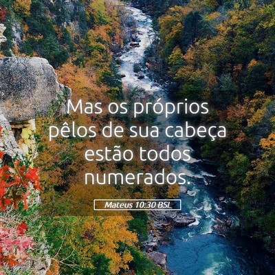 Picture 05 - Mateus 10:30 BSL - Mas os próprios pêlos de sua cabeça estão - Bible Verse Picture