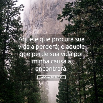 Picture 05 - Mateus 10:39 BSL - Aquele que procura sua vida a perderá; e aquele - Bible Verse Picture
