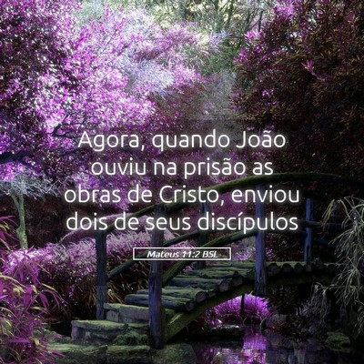 Picture 05 - Mateus 11:2 BSL - Agora, quando João ouviu na prisão as obras de - Bible Verse Picture