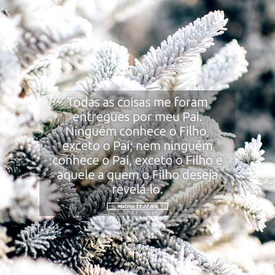 Picture 05 - Mateus 11:27 BSL - Todas as coisas me foram entregues por meu Pai. - Bible Verse Picture