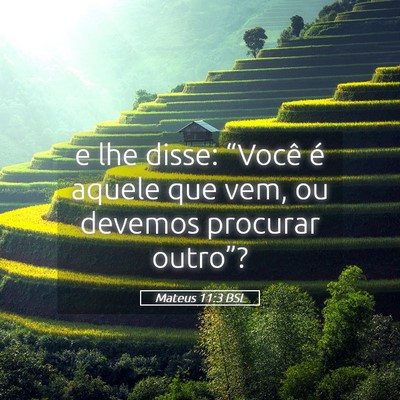 Picture 05 - Mateus 11:3 BSL - e lhe disse: “Você é aquele que vem, ou - Bible Verse Picture
