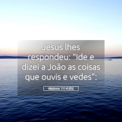 Picture 05 - Mateus 11:4 BSL - Jesus lhes respondeu: “Ide e dizei a João as - Bible Verse Picture