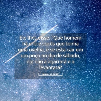 Picture 05 - Mateus 12:11 BSL - Ele lhes disse: “Que homem há entre vocês que - Bible Verse Picture