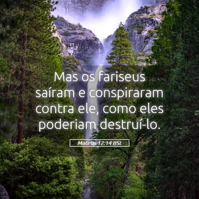Picture 05 - Mateus 12:14 BSL - Mas os fariseus saíram e conspiraram contra ele, - Bible Verse Picture