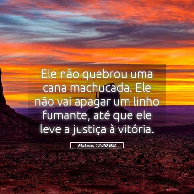 Picture 05 - Mateus 12:20 BSL - Ele não quebrou uma cana machucada. Ele não vai - Bible Verse Picture