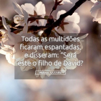 Picture 05 - Mateus 12:23 BSL - Todas as multidões ficaram espantadas, e - Bible Verse Picture