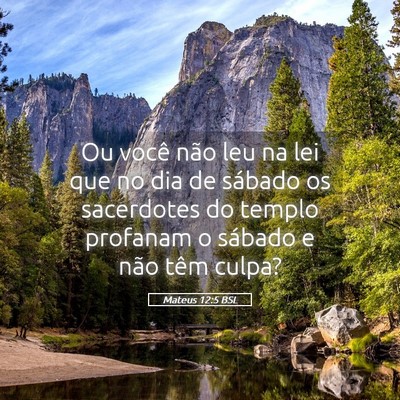 Picture 05 - Mateus 12:5 BSL - Ou você não leu na lei que no dia de sábado os - Bible Verse Picture
