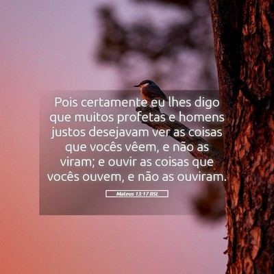 Picture 05 - Mateus 13:17 BSL - Pois certamente eu lhes digo que muitos profetas - Bible Verse Picture