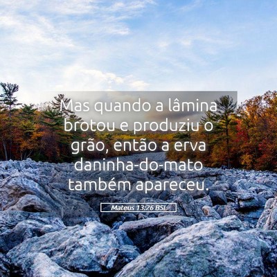 Picture 05 - Mateus 13:26 BSL - Mas quando a lâmina brotou e produziu o grão, - Bible Verse Picture