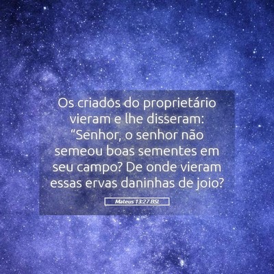 Picture 05 - Mateus 13:27 BSL - Os criados do proprietário vieram e lhe - Bible Verse Picture