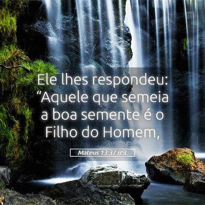 Picture 05 - Mateus 13:37 BSL - Ele lhes respondeu: “Aquele que semeia a boa - Bible Verse Picture