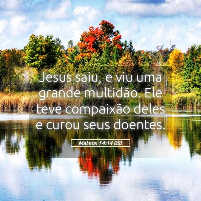 Picture 05 - Mateus 14:14 BSL - Jesus saiu, e viu uma grande multidão. Ele teve - Bible Verse Picture