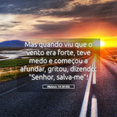 Picture 05 - Mateus 14:30 BSL - Mas quando viu que o vento era forte, teve medo e - Bible Verse Picture