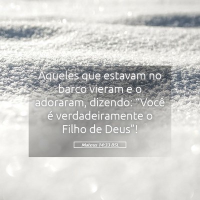 Picture 05 - Mateus 14:33 BSL - Aqueles que estavam no barco vieram e o adoraram, - Bible Verse Picture
