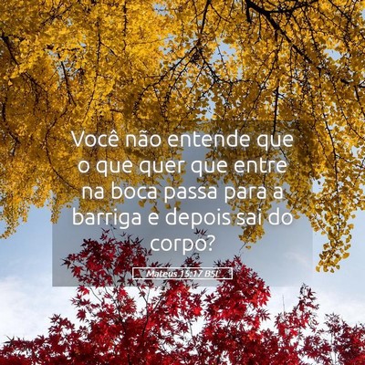 Picture 05 - Mateus 15:17 BSL - Você não entende que o que quer que entre na - Bible Verse Picture