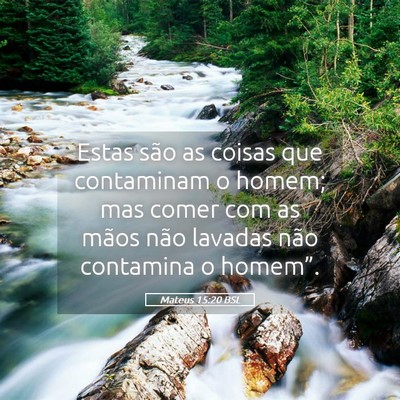 Picture 05 - Mateus 15:20 BSL - Estas são as coisas que contaminam o homem; mas - Bible Verse Picture