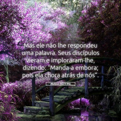 Picture 05 - Mateus 15:23 BSL - Mas ele não lhe respondeu uma palavra. Seus - Bible Verse Picture