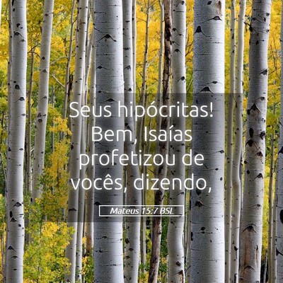 Picture 05 - Mateus 15:7 BSL - Seus hipócritas! Bem, Isaías profetizou de - Bible Verse Picture