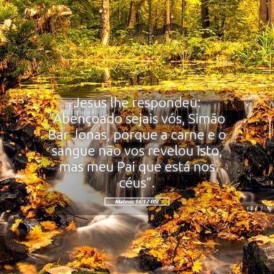 Picture 05 - Mateus 16:17 BSL - Jesus lhe respondeu: “Abençoado sejais vós, - Bible Verse Picture