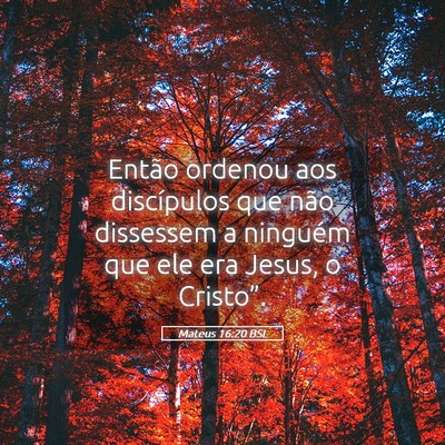 Picture 05 - Mateus 16:20 BSL - Então ordenou aos discípulos que não dissessem - Bible Verse Picture