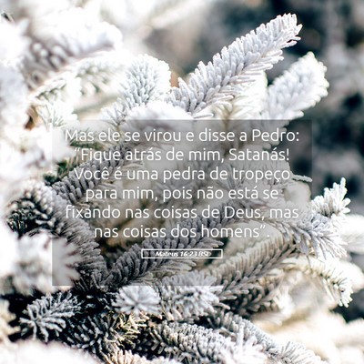 Picture 05 - Mateus 16:23 BSL - Mas ele se virou e disse a Pedro: “Fique atrás - Bible Verse Picture