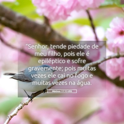 Picture 05 - Mateus 17:15 BSL - “Senhor, tende piedade de meu filho, pois ele - Bible Verse Picture