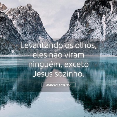 Picture 05 - Mateus 17:8 BSL - Levantando os olhos, eles não viram ninguém, - Bible Verse Picture