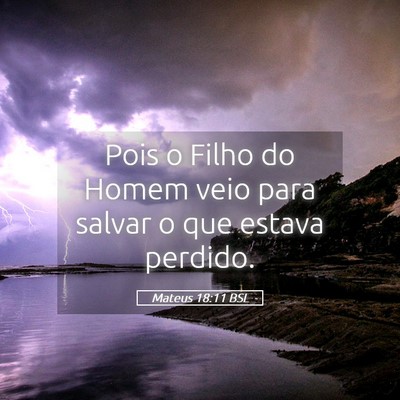 Picture 05 - Mateus 18:11 BSL - Pois o Filho do Homem veio para salvar o que - Bible Verse Picture