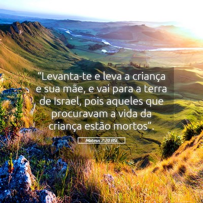 Picture 05 - Mateus 2:20 BSL - “Levanta-te e leva a criança e sua mãe, e vai - Bible Verse Picture