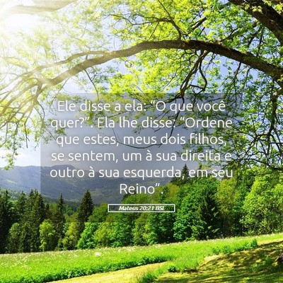 Picture 05 - Mateus 20:21 BSL - Ele disse a ela: “O que você quer?”. Ela lhe - Bible Verse Picture