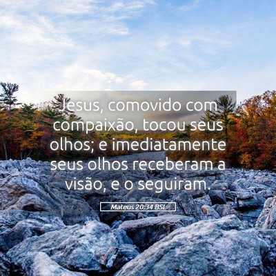 Picture 05 - Mateus 20:34 BSL - Jesus, comovido com compaixão, tocou seus olhos; - Bible Verse Picture