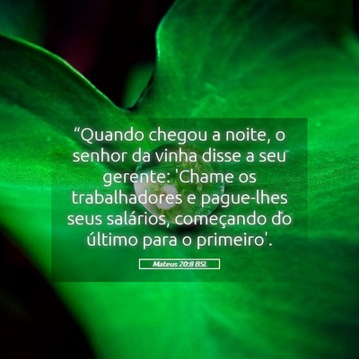 Picture 05 - Mateus 20:8 BSL - “Quando chegou a noite, o senhor da vinha disse - Bible Verse Picture