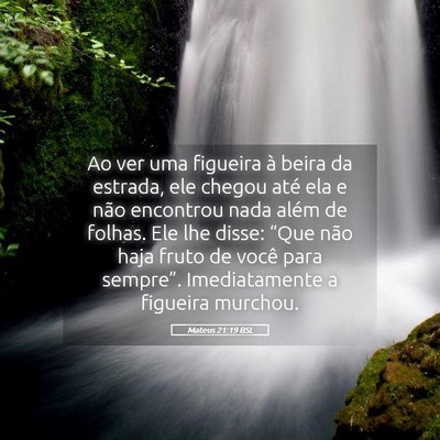 Picture 05 - Mateus 21:19 BSL - Ao ver uma figueira à beira da estrada, ele - Bible Verse Picture