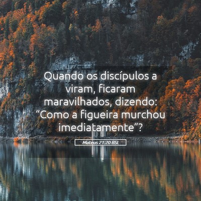 Picture 05 - Mateus 21:20 BSL - Quando os discípulos a viram, ficaram - Bible Verse Picture