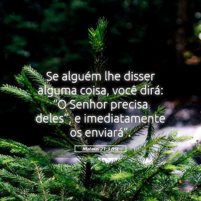 Picture 05 - Mateus 21:3 BSL - Se alguém lhe disser alguma coisa, você dirá: - Bible Verse Picture