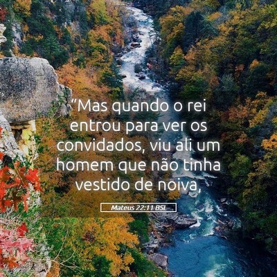 Picture 05 - Mateus 22:11 BSL - “Mas quando o rei entrou para ver os - Bible Verse Picture