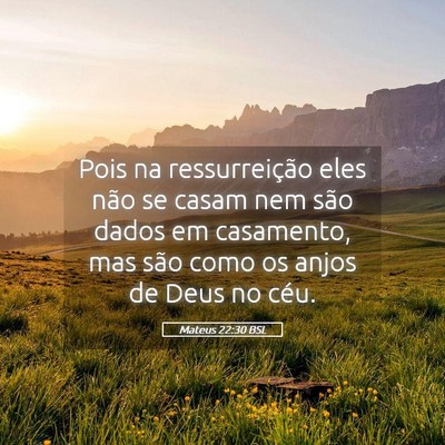 Picture 05 - Mateus 22:30 BSL - Pois na ressurreição eles não se casam nem - Bible Verse Picture