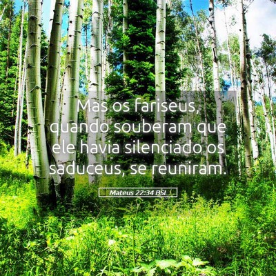 Picture 05 - Mateus 22:34 BSL - Mas os fariseus, quando souberam que ele havia - Bible Verse Picture