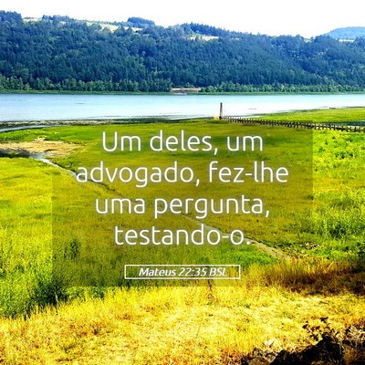 Picture 05 - Mateus 22:35 BSL - Um deles, um advogado, fez-lhe uma pergunta, - Bible Verse Picture