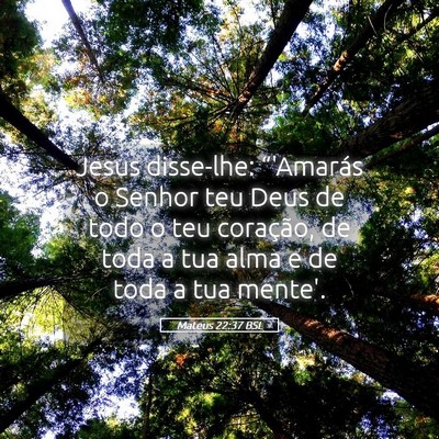 Picture 05 - Mateus 22:37 BSL - Jesus disse-lhe: “'Amarás o Senhor teu Deus de - Bible Verse Picture