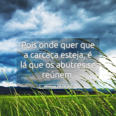 Picture 05 - Mateus 24:28 BSL - Pois onde quer que a carcaça esteja, é lá que - Bible Verse Picture