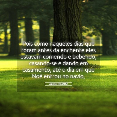 Picture 05 - Mateus 24:38 BSL - Pois como naqueles dias que foram antes da - Bible Verse Picture
