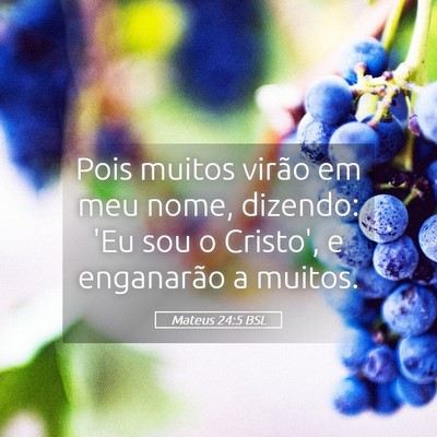 Picture 05 - Mateus 24:5 BSL - Pois muitos virão em meu nome, dizendo: 'Eu sou - Bible Verse Picture