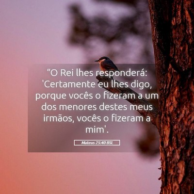 Picture 05 - Mateus 25:40 BSL - “O Rei lhes responderá: 'Certamente eu lhes - Bible Verse Picture