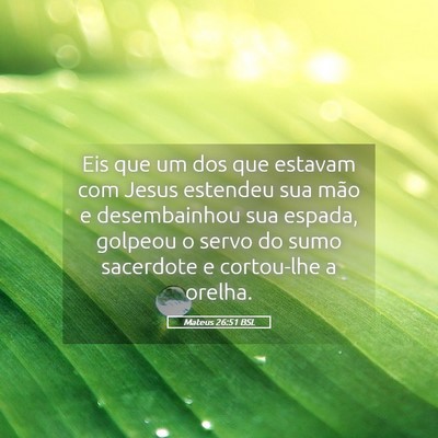 Picture 05 - Mateus 26:51 BSL - Eis que um dos que estavam com Jesus estendeu sua - Bible Verse Picture