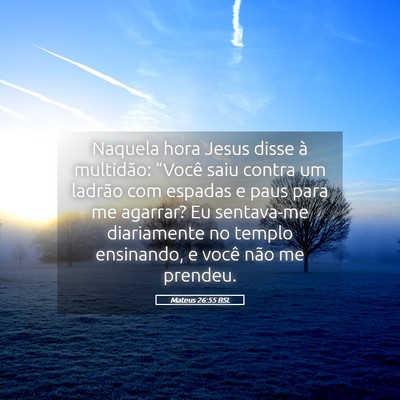 Picture 05 - Mateus 26:55 BSL - Naquela hora Jesus disse à multidão: “Você - Bible Verse Picture