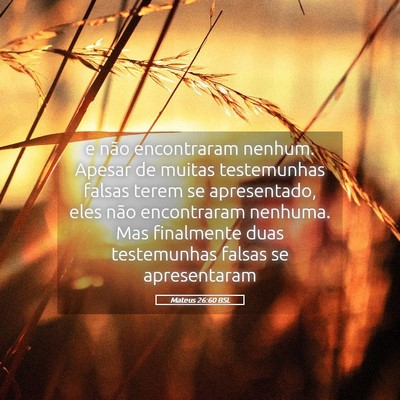 Picture 05 - Mateus 26:60 BSL - e não encontraram nenhum. Apesar de muitas - Bible Verse Picture